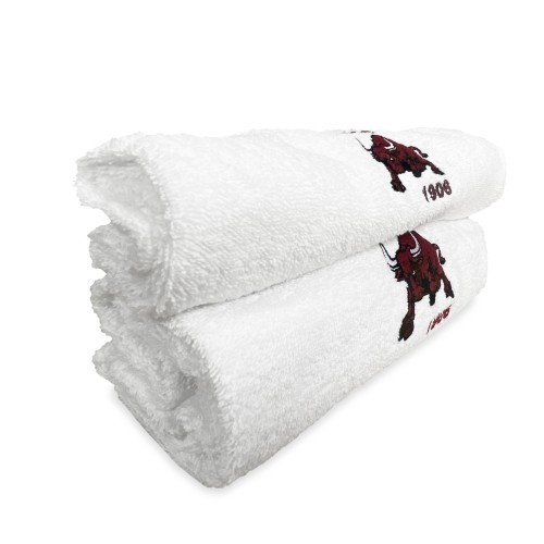 PAIR OF EMBROIDERED TOWELS TAURUS 1906 and postcard TORINO IS