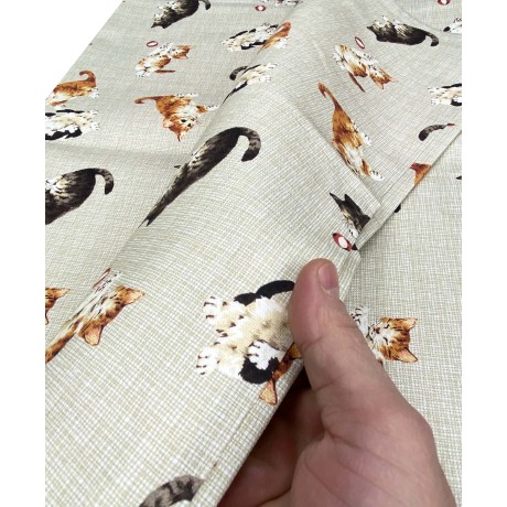 NAPPE BEIGE DE COTON DE CHATON