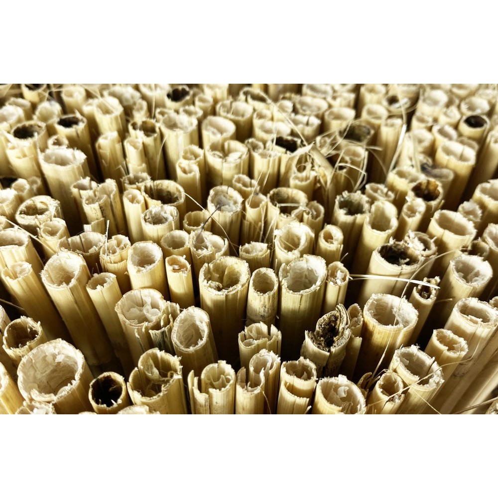ARELLA PRIVACY Premium © aus Bambus WATTLE ARELLE CANNE Durchmesser bis 1 cm. für Schattenzaun in 8 GRÖSSEN