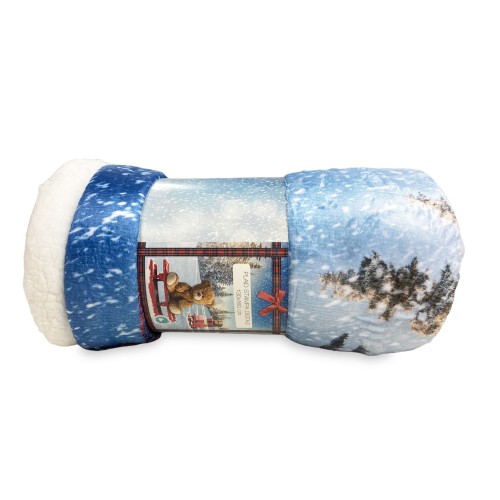 PLAID Blanket FLEECE SHERPA DIGITAL PHOTOGRAPHIC SLED Teddy Bear