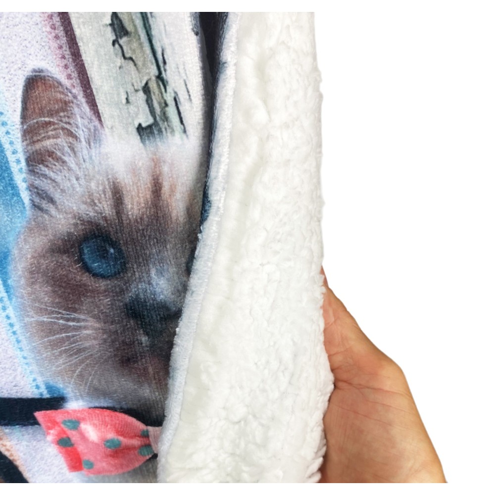 PLAID Blanket FLEECE SHERPA DIGITAL photo cats patisserie