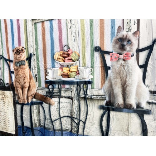 PLAID Blanket FLEECE SHERPA DIGITAL photo cats patisserie