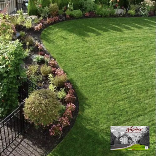 Pelouse synthétique WINDSOR © Faux gazon Tapis de jardin réaliste 5 nuances qualité supplémentaire