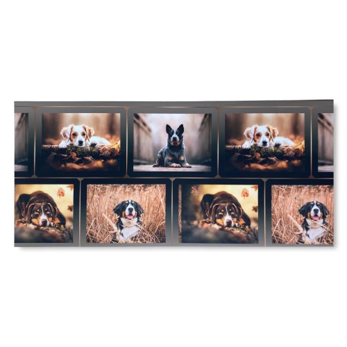 RUG Küchenläufer Rutschfester Läufer DOG Hunde Made in Italy