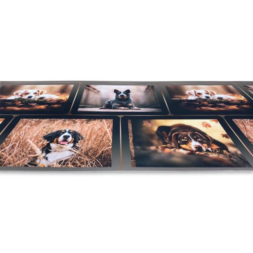 CARPET Runner Cuisine Runner Anti-dérapant DOG Chiens Made in Italy