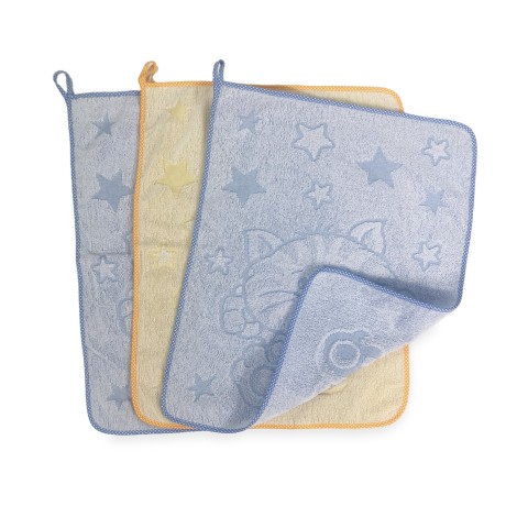 SET 3 SERVIETTES JARDIN...