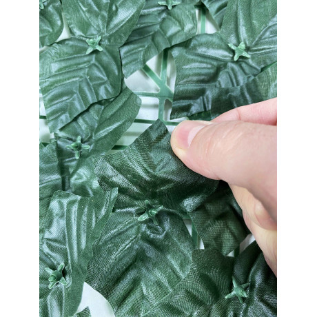 SIEPE Privacy Leaf EDERA...