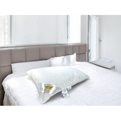 Federkissen, 2er-Set Doppelbettkissen Gänsefeder 50x80 cm, 1100g, weich, hypoallergen und ergonomisch