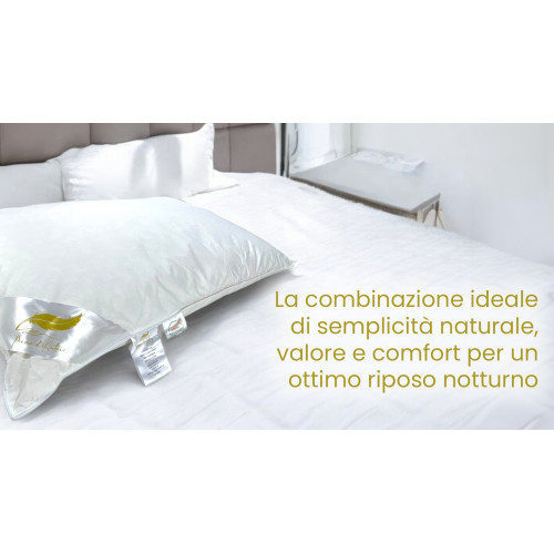 Guanciali Piume d'Autore, Set di 2 Cuscini Letto Matrimoniale Piuma d'Oca 50x80 cm, 1100g, Morbidi, Ipoallergenici e Ergonomici