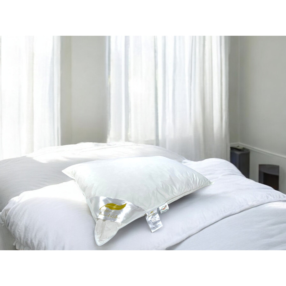 Oreillers en plumes, Lot de 2 oreillers de lit double en plume d’oie 50x80 cm, 1100g, doux, hypoallergénique et ergonomique