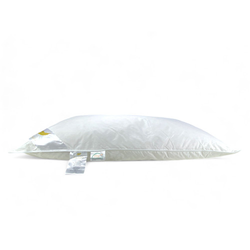 Oreillers en plumes, Lot de 2 oreillers de lit double en plume d’oie 50x80 cm, 1100g, doux, hypoallergénique et ergonomique