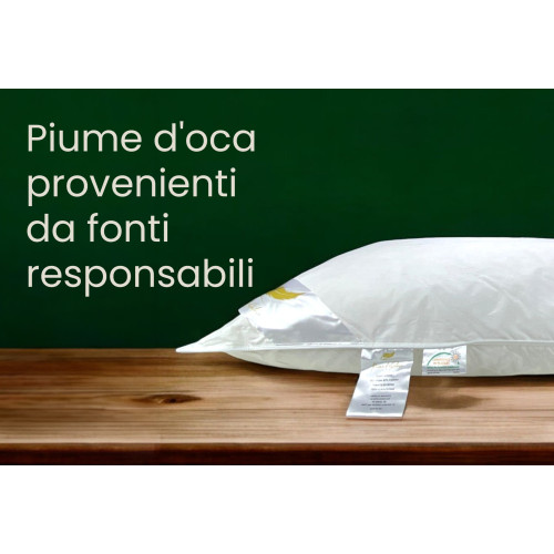 Doppelbettkissen aus Gänsedaunen 50x80 cm | Ergonomisches, atmungsaktives und hypoallergenes Kissen | Federn des Autors