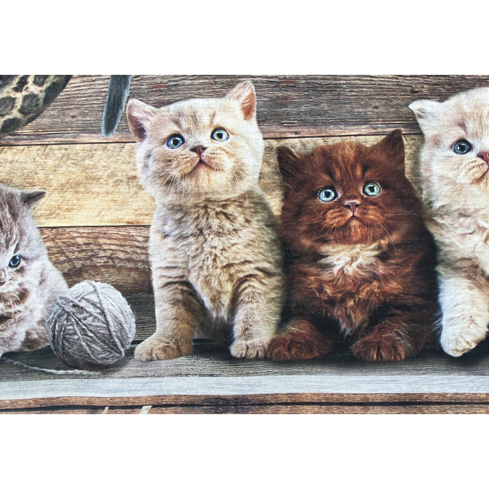 Runner Rug with Cats – Non-Slip, Washable, Soft Runner, Various Sizes – Made in Italy