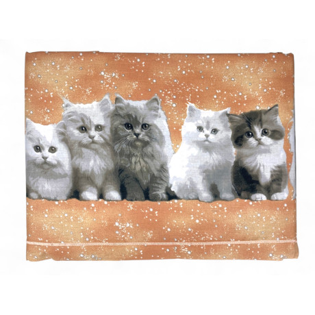 Kittens Salmon Sheet Set - Sweet and Realistic Print - 100% Cotton - Made in Italy, Washable