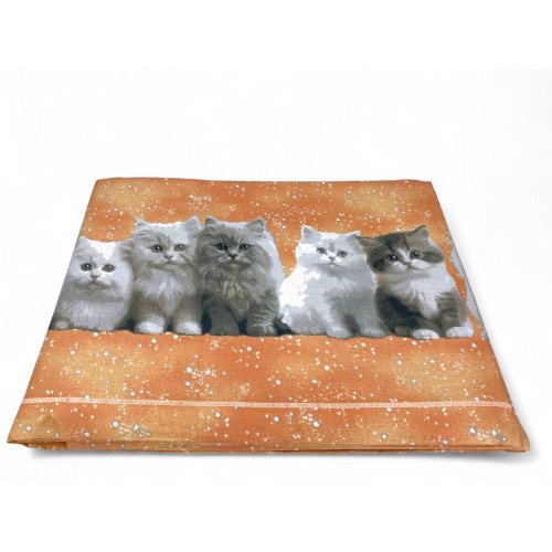 Kittens Salmon Sheet Set - Sweet and Realistic Print - 100% Cotton - Made in Italy, Washable