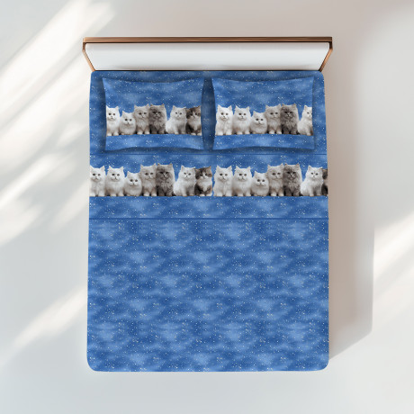 Blue Kittens Sheets Set - Realistic Print Cute Cats - 100% Cotton - Made in Italy, Washable