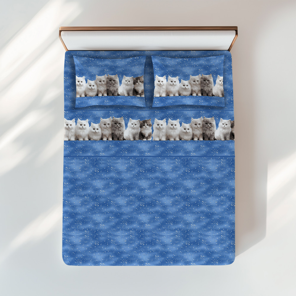 Ensemble de draps chatons bleus - Imprimé réaliste Chats mignons - 100 % coton - Fabriqué en Italie, lavable
