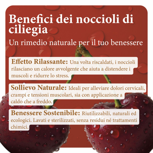 Noccioli di Ciliegia Naturali Lavati e Sterilizzati - Ideali per Cuscini Termici, Relax e Artigianato Made in Italy