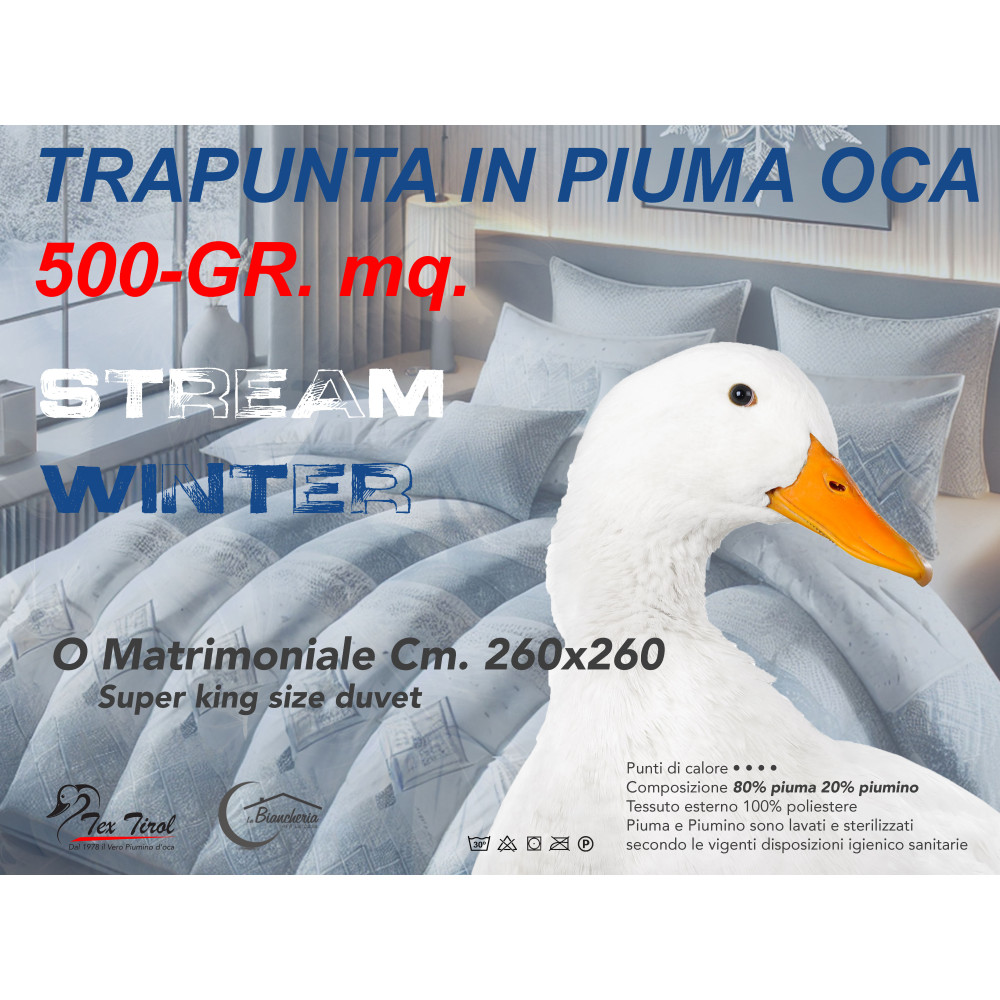 Piumone Matrimoniale Invernale Stream 500 gr - Piumino 80% Piuma 20% Piumino - Fantasia Floreale Beige
