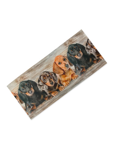 Tappeto Cucina Runner Cuccioli Bassotti – Passatoia Cucina Antiscivolo Lavabile PVC 6 mm – Made in Italy