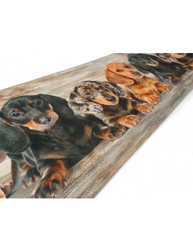 Tappeto Cucina Runner Cuccioli – Passatoia Cucina Antiscivolo Lavabile PVC 6 mm – Made in Italy