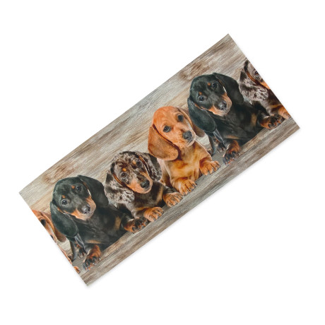 Alfombra de Cocina Cachorros Dachshunds – Alfombra de Cocina Lavable Antideslizante PVC 6 mm – Made in Italy