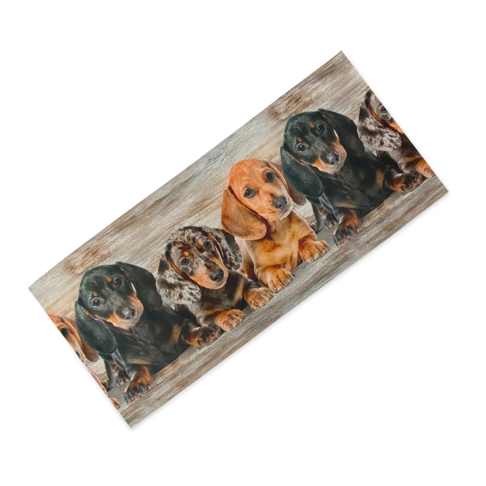 Küchenteppich Runner Puppies Dackel – Waschbarer rutschfester Küchenläufer PVC 6 mm – Made in Italy