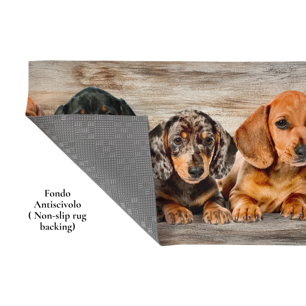 Alfombra de Cocina Cachorros Dachshunds – Alfombra de Cocina Lavable Antideslizante PVC 6 mm – Made in Italy