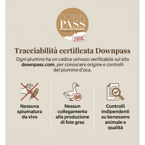 Couette Impériale de Nuit - 100 % Virgin Goose Down Classe 1, Photos fixes, Batiste 70, DOWNPASS, fabriquée en Autriche