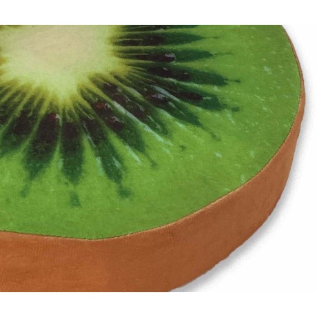 COPRISEDIA COUSSIN ROND DE...