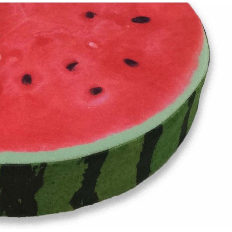 COPRISEDIA COUSSIN ROND DE...