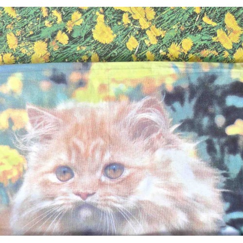 SET Blatt NATURA GATTO Daisies