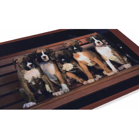 TAPIS PAILLASSON NUMÉRIQUE AMIS CM.40X60 CHIENS BOXER