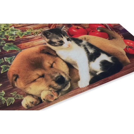 TAPIS PAILLASSON NUMÉRIQUE AMIS CM.40X60 CHIEN CHAT PANIER