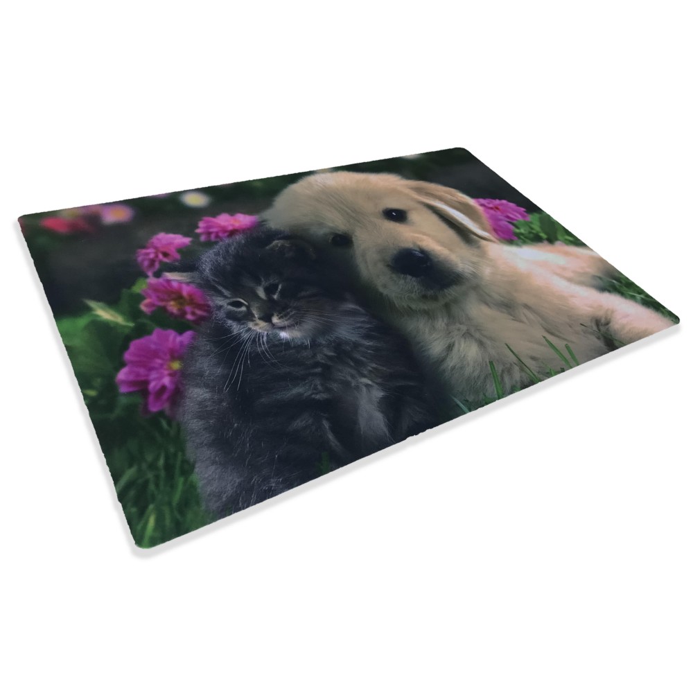 TAPIS PAILLASSON NUMÉRIQUE AMIS CM.40X60 CHIEN CHAT FLEUR