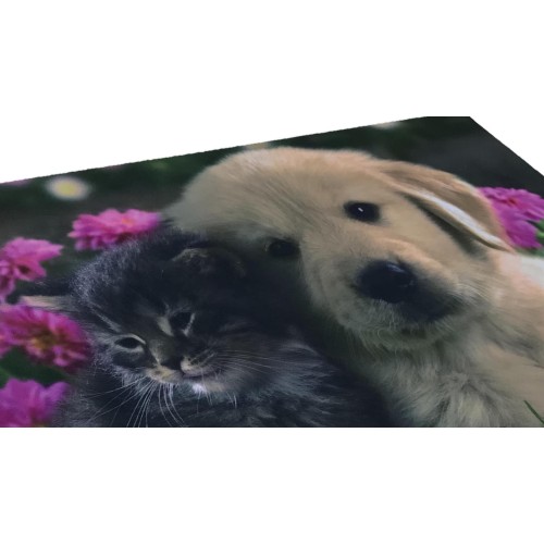 TAPIS PAILLASSON NUMÉRIQUE AMIS CM.40X60 CHIEN CHAT FLEUR