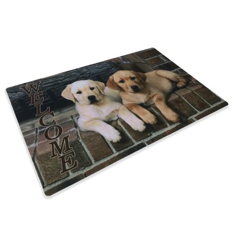 TAPIS PAILLASSON NUMÉRIQUE AMIS CM.40X60 CHIEN CHIENS LABRADOR