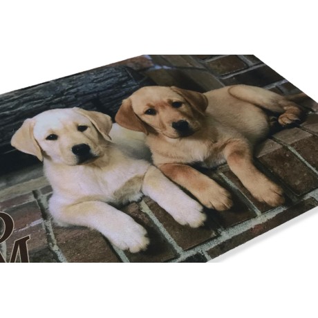 TAPIS PAILLASSON NUMÉRIQUE AMIS CM.40X60 CHIEN CHIENS LABRADOR