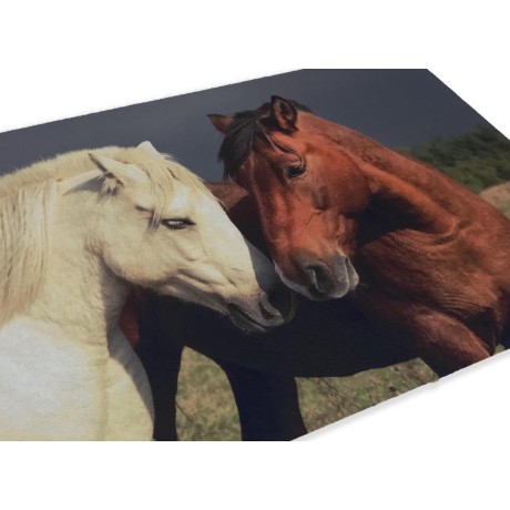 TAPIS PAILLASSON NUMÉRIQUE AMIS CM.40X60 CHEVAL CHEVAUX