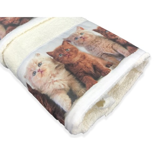 UN ENSEMBLE DE SERVIETTES DE CHAT CHATS CHATONS