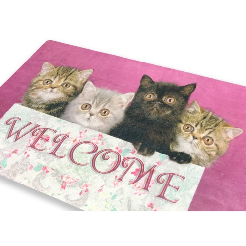 TAPIS PAILLASSON NUMÉRIQUE DE BIENVENUE CM.40X60 CHATS CHATONS