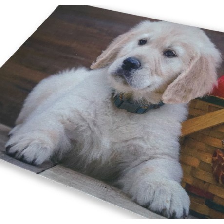 TAPIS PAILLASSON NUMÉRIQUE DE CM.40X60 CHIEN CHIOT LABRADOR