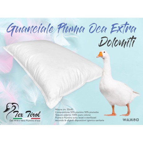 GUANCIALE CUSCINO PIUMA PIUMINO OCA CORTINA DAUNEX