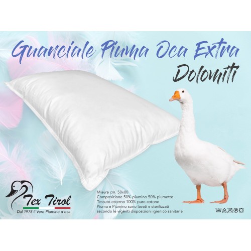 Cuscini in piumino d'oca Duvet