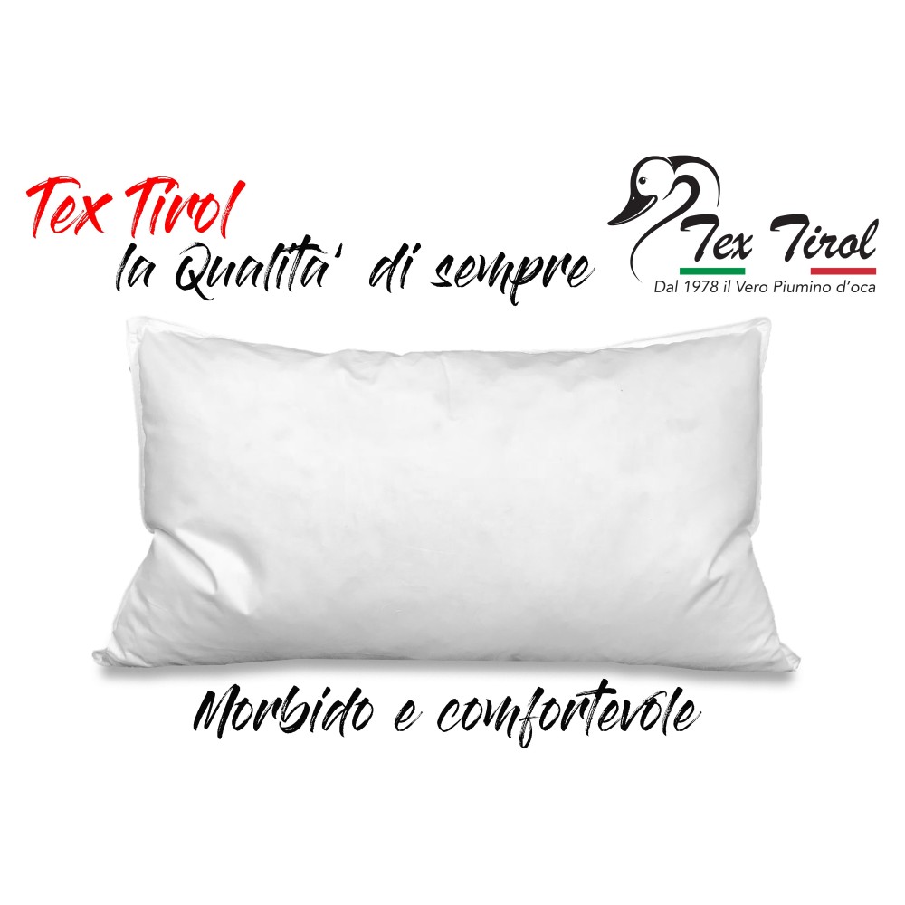 OREILLER, COUSSIN, PLUME DE DUVET, D'OIE DOLOMITES TEX TIROL ©