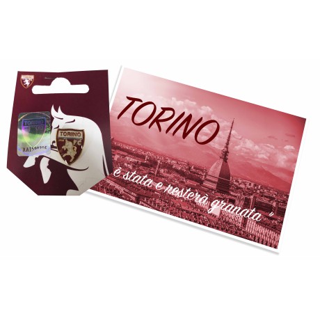 INSIGNE MÉTAL BROCHE TORINO football club F. C. et de la carte postale de TURIN EST