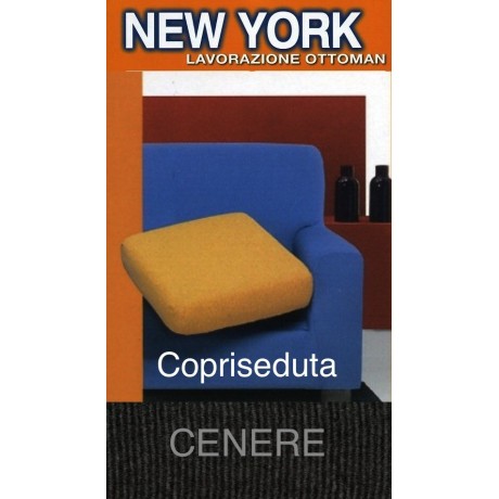 COPRISEDUTA NEW YORK CENERE