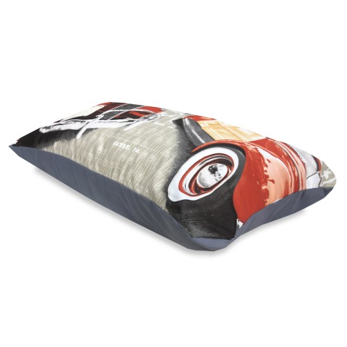 HOUSSE DE COUETTE-AMÉRICAIN DES ÉTATS-UNIS DE L'AMÉRIQUE