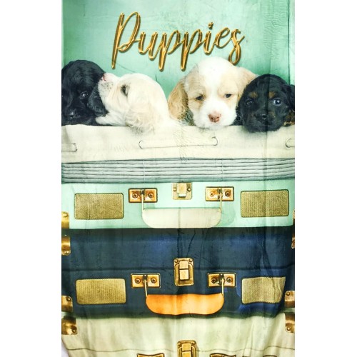 PLAID FLEECE BLANKET SHERPA DIGITAL PHOTOGRAPHIC DOGS IN SUITCASE WITH PILLOW Decor